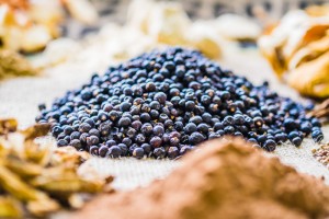 botanicals-2