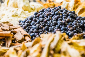 botanicals-3