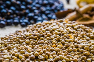 botanicals-4