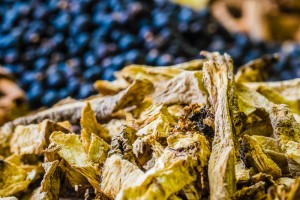 botanicals-5