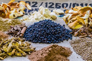 botanicals-6