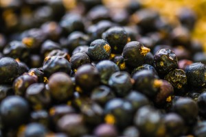 botanicals-7